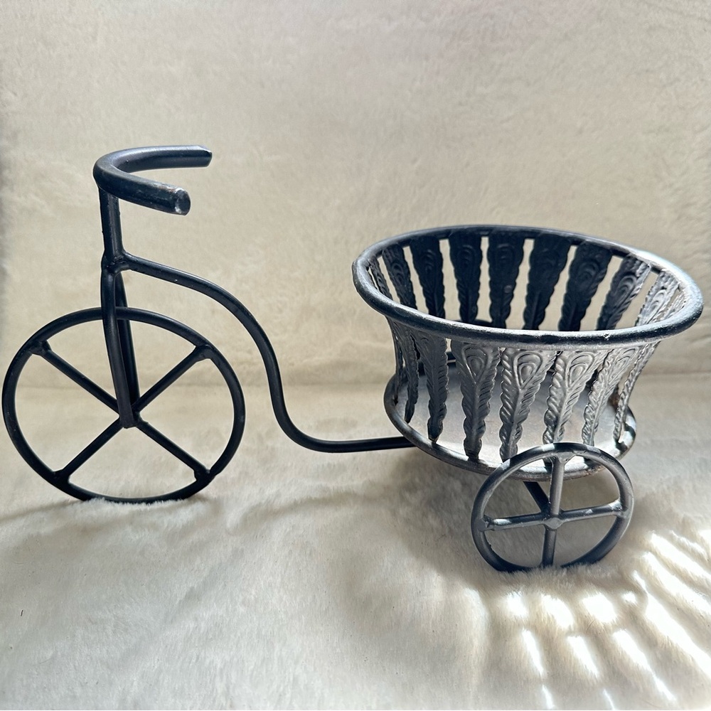 Black Metal Tricycle Basket Planter